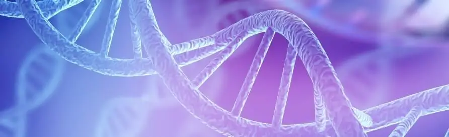 Structure dna