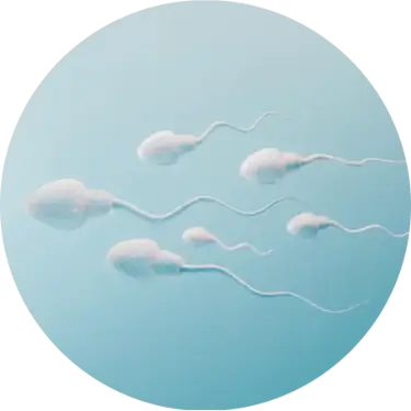 Common symptoms of male infertility