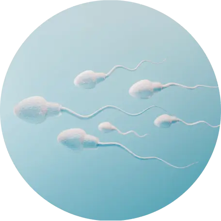 Common symptoms of male infertility