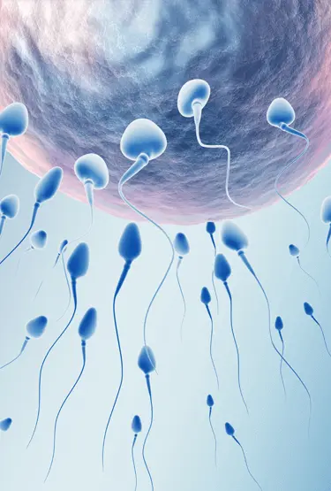 Possible causes of male infertility