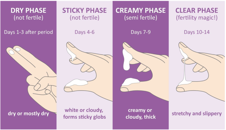 ovulation-discharge-fertile-vs-infertile-fertility-cloud