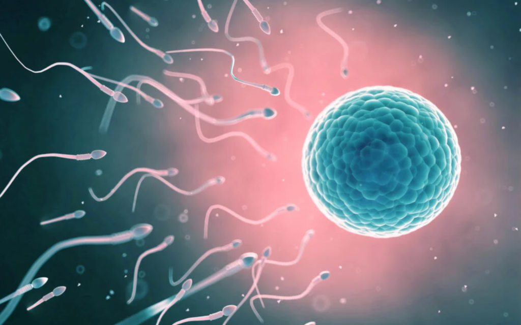 Infertility Tests for Males