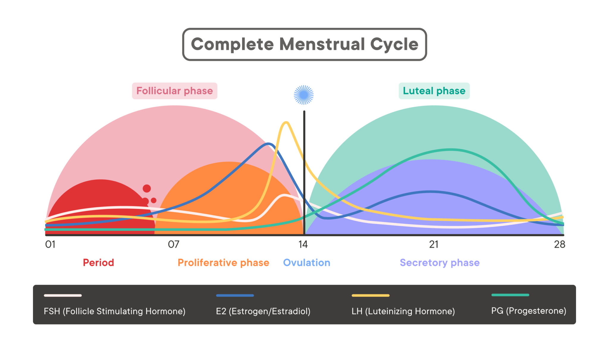 mid cycle spotting causes