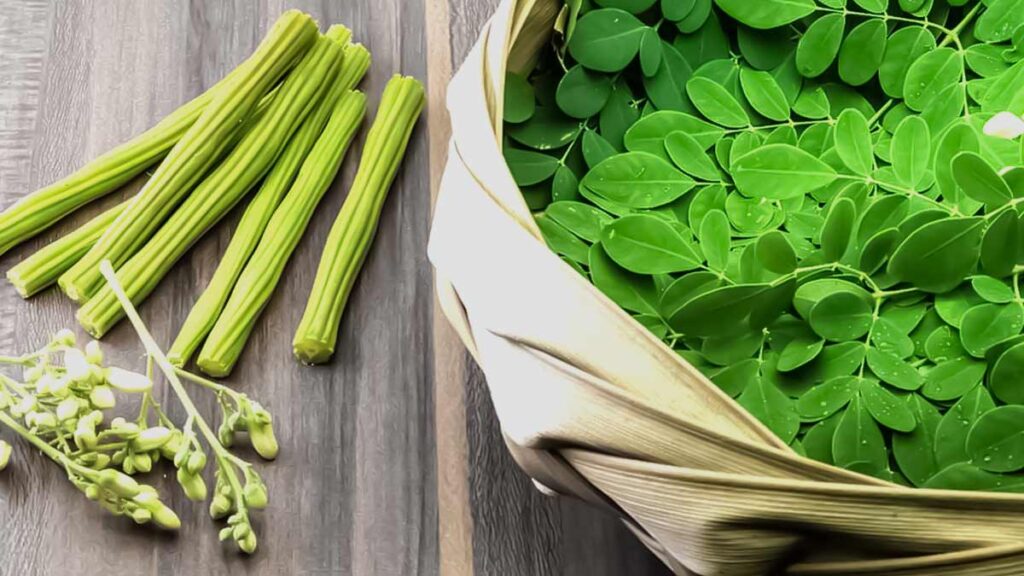 Can moringa leaves prevent pregnancy or make you infertile or does it help fertility?