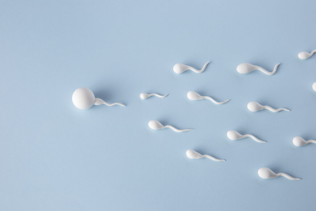 semen illustration male infertility